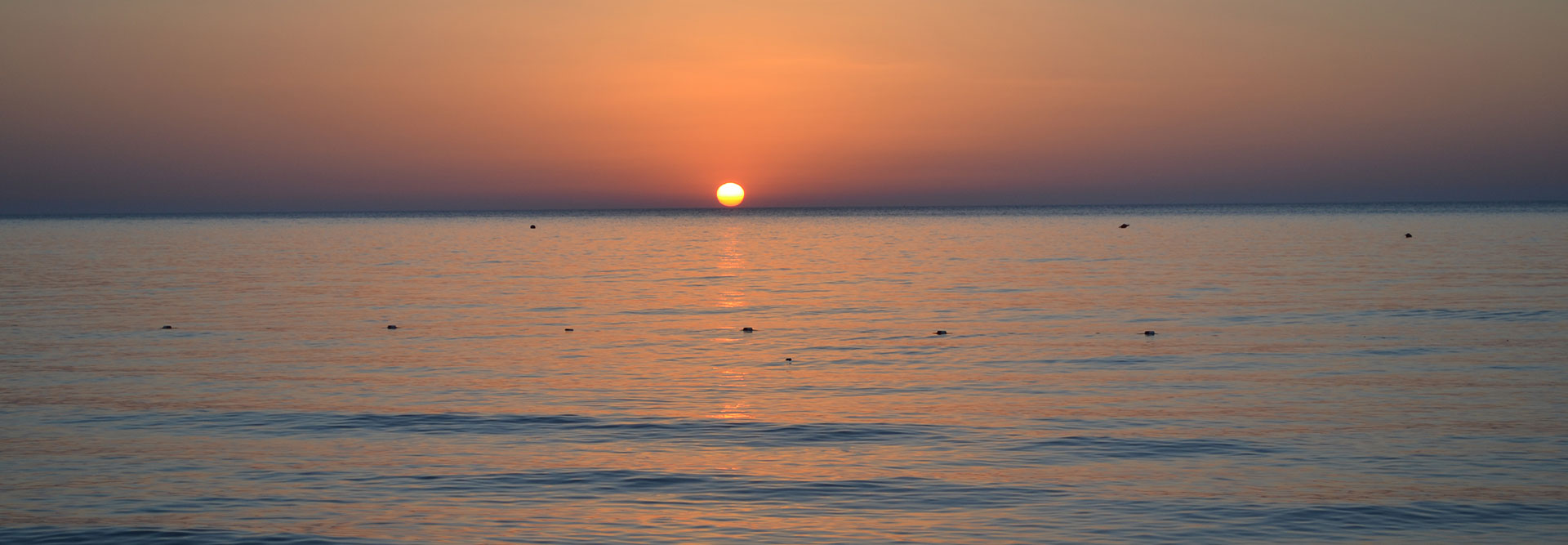 vacanze sul gargano